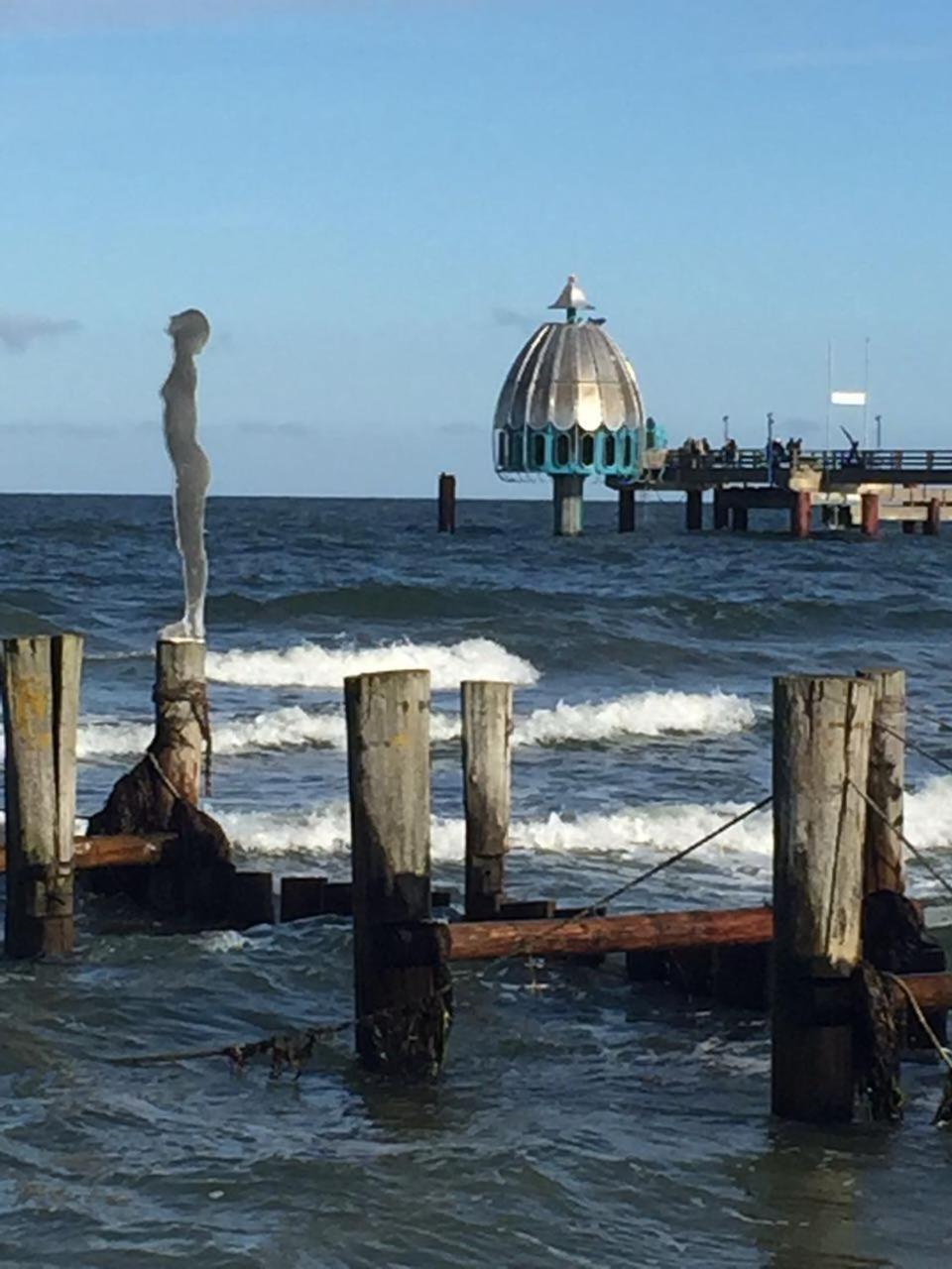 Haus Selma Daire Zingst Dış mekan fotoğraf