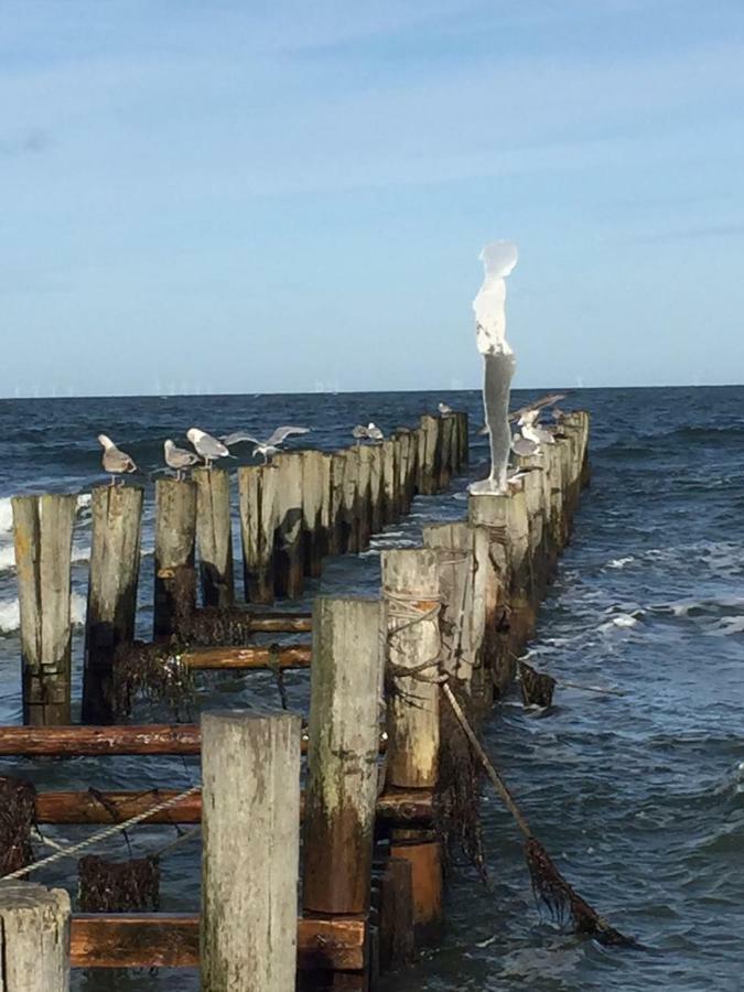 Haus Selma Daire Zingst Dış mekan fotoğraf